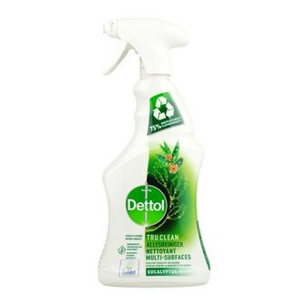 Dettol Allesreiniger Spray Eucalyptus 500ml