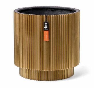 Capi Vase Cilinder Groove XL - 34x35 - Goud - Bloempot voor binnen - Opening ⌀29 - GVGB882 Capi Vase Cilinder Groove XL - 34x35 - Goud - Bloempot voor binnen - Opening ⌀29 - GVGB882